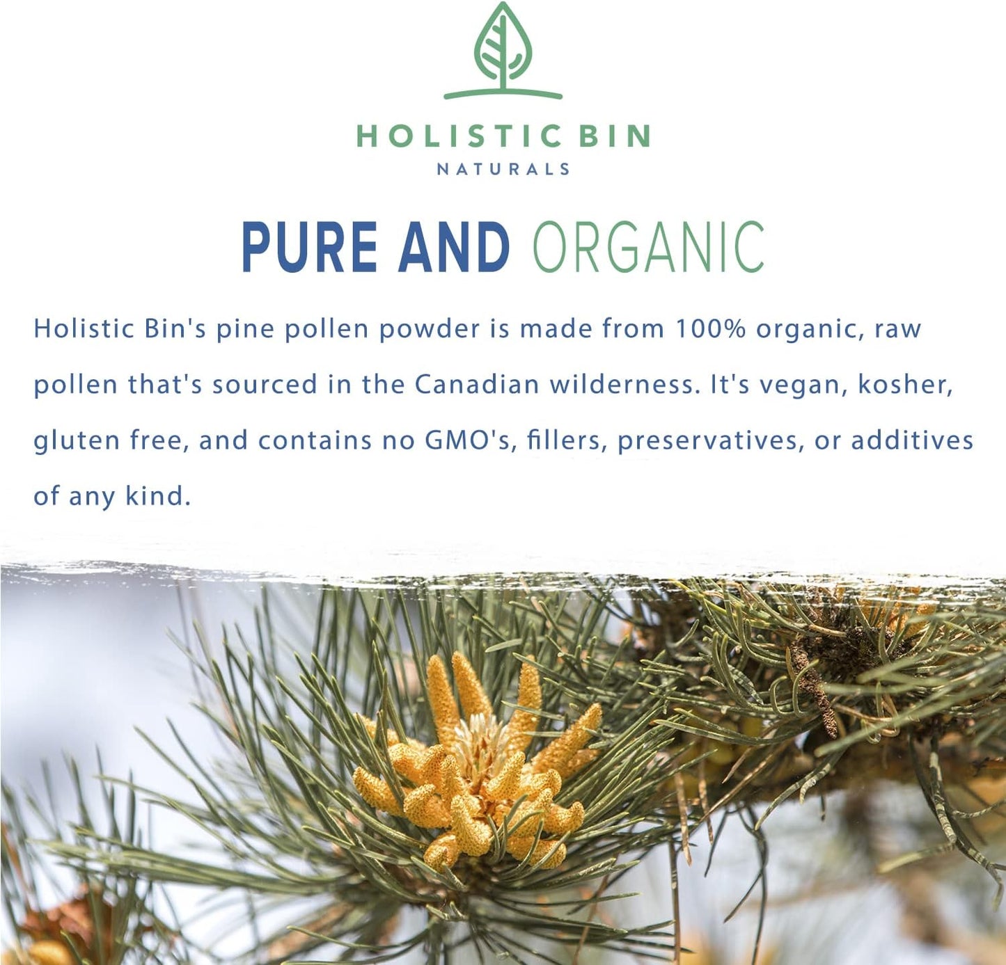 Holistic Bin Pine Pollen Powder – Wild Harvested Canadian Pine Pollen, 20 g - görsel 2