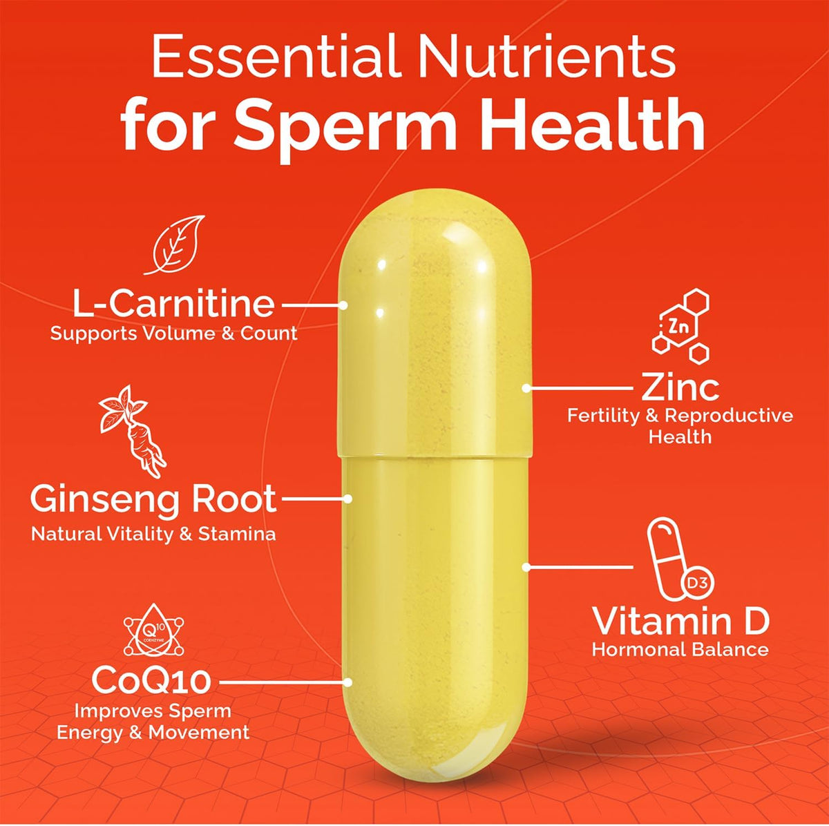 CONCEIVE PLUS Motility Support for Men | Spermidine Supplements with Vitamin D, E, Zinc, Antioxidants | Male Fertility Multivitamin, 60 Capsules - görsel 3
