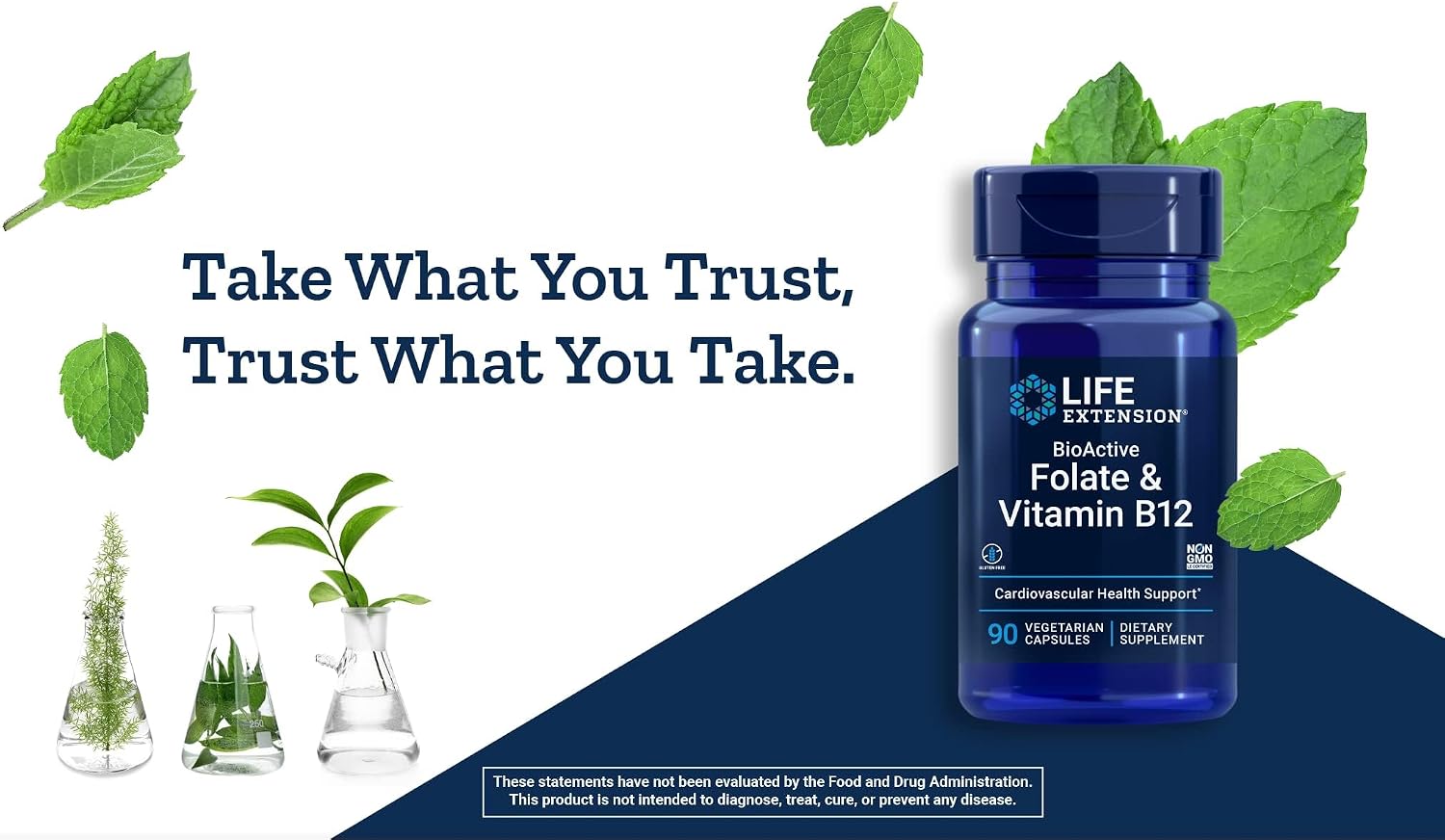 Life Extension BioActive Folate & Vitamin B12, 150 Vegetarian Capsules (2-Pack) - görsel 6