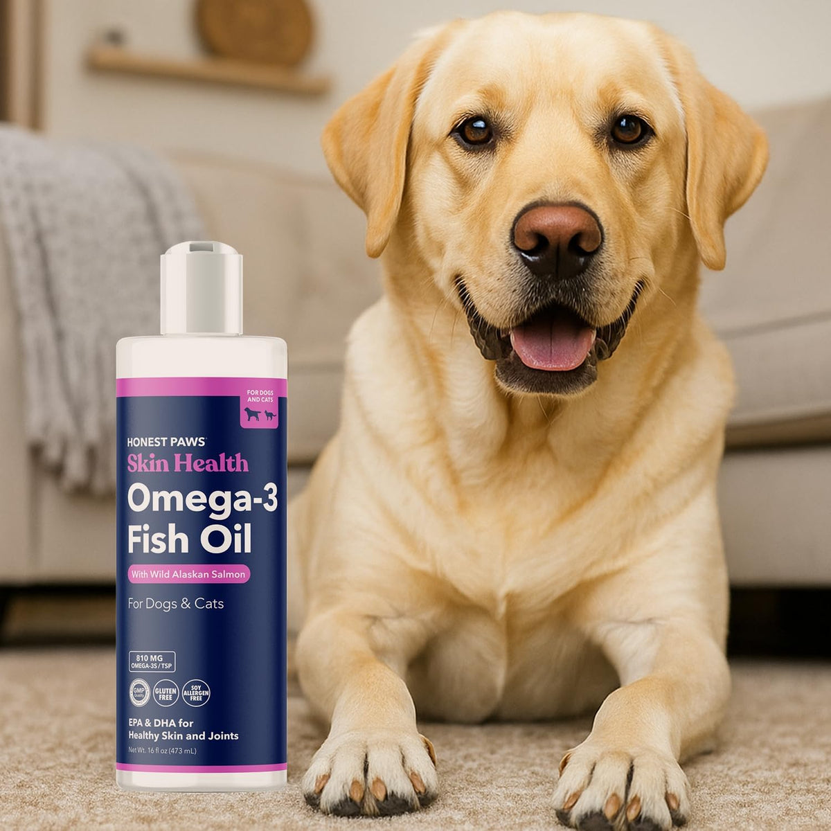 Salmon Oil for Dogs & Cats – Omega-3 Fish Oil Supplement for Skin, Coat, Joint & Heart Health – Natural, Sustainably Sourced Wild Alaskan Salmon, 473 ml - görsel 9