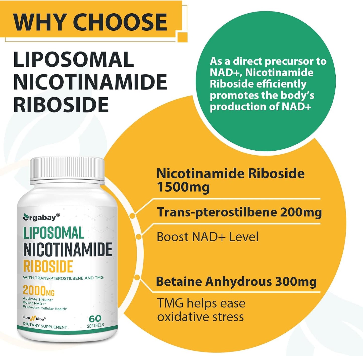 Orgabay Liposomal Nicotinamide Riboside 2000 mg with TMG and Pterostilbene, Boosting NAD+, Support Healthy Ageing, 120 Count - görsel 5