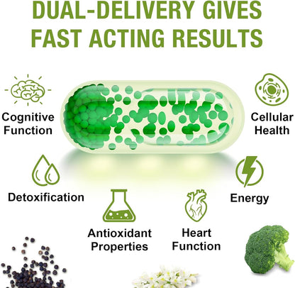 800 mg Liposomal Sulforaphane – Dual-Delivery for Enhanced Absorption – Full-Spectrum Broccoli Extract – Antioxidant Support – 120 Softgels