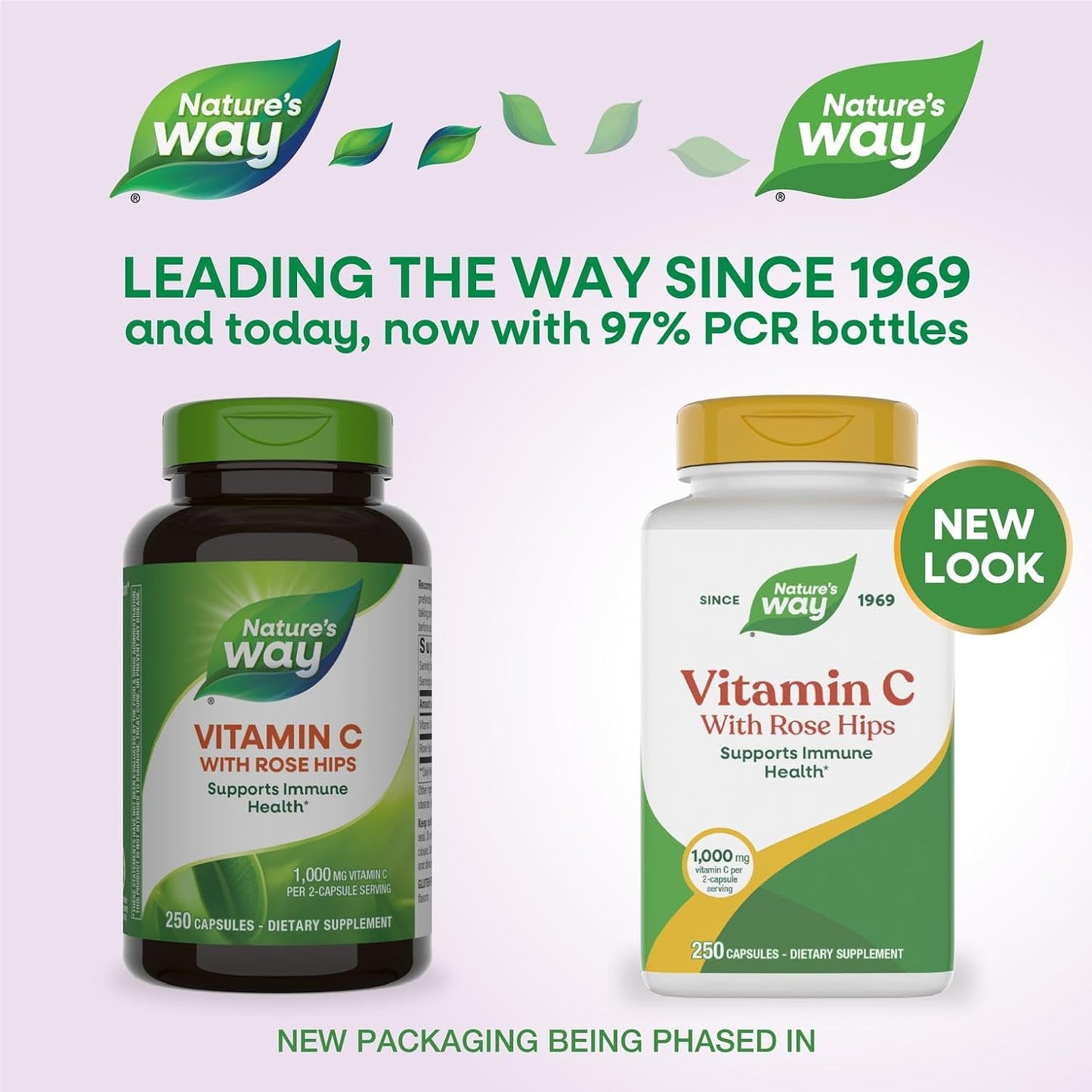 Nature's Way Vitamin C with Rose Hips, 1000 mg, 250 Capsules - görsel 2