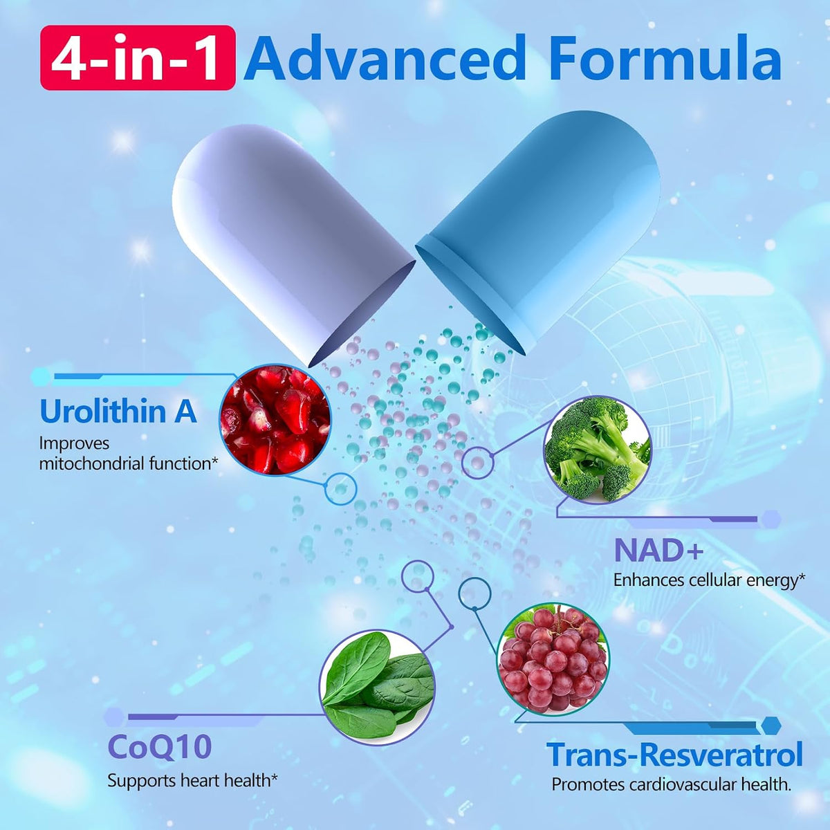 inGreens Urolithin A 1000mg with NAD+ 300mg, CoQ10 200mg and Trans-Resveratrol 200mg Food Supplement (5-Pack) - görsel 7