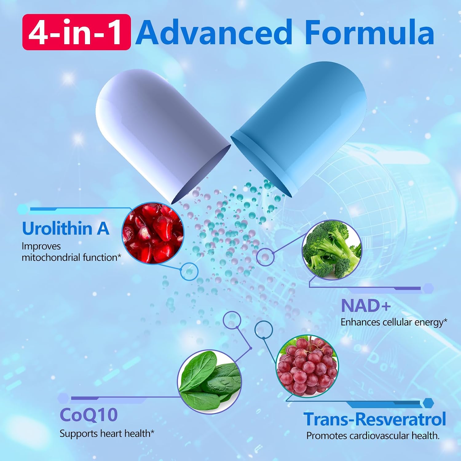 inGreens Urolithin A 1000mg with NAD+ 300mg, CoQ10 200mg and Trans-Resveratrol 200mg Food Supplement (5-Pack) - görsel 7
