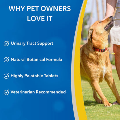 Doc Roy's Cranberry Extra Supplement for Dogs and Cats, 60 Tablets