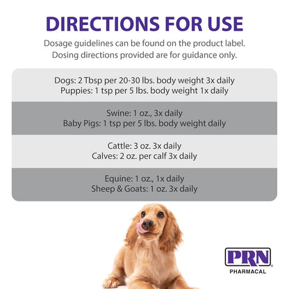 PRN Pharmacal STAT High-Calorie Nutritional Supplement for Dogs and Animals, Vanilla Flavour, 473 ml
