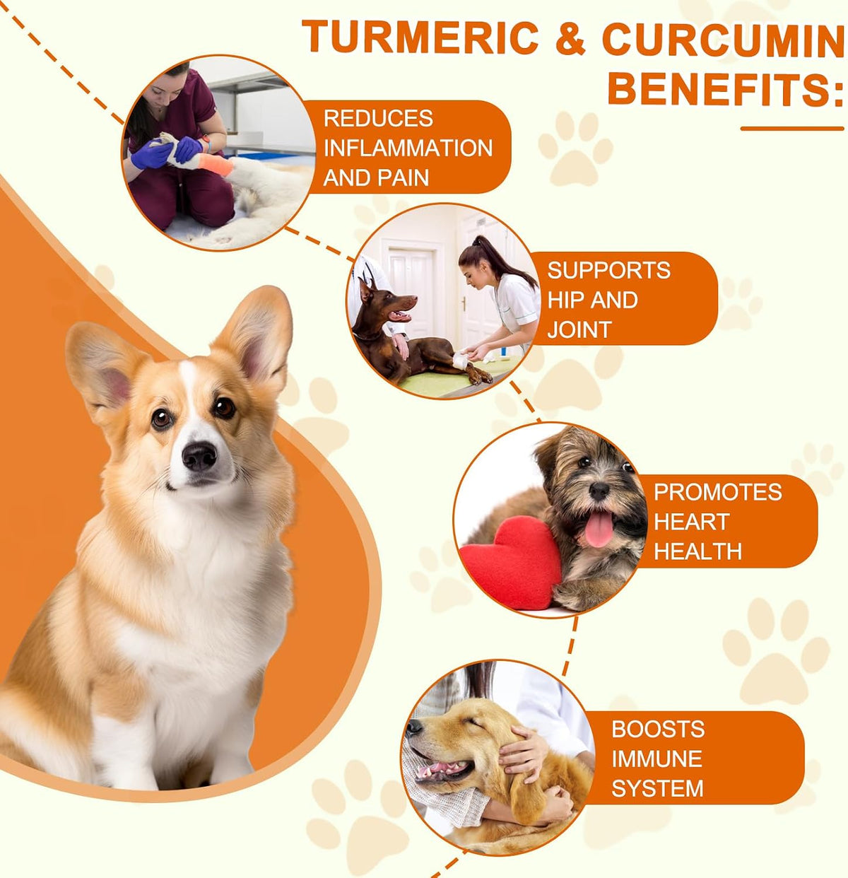 ALIVO Turmeric for Dogs - 180 Turmeric Curcumin Tablets - görsel 3