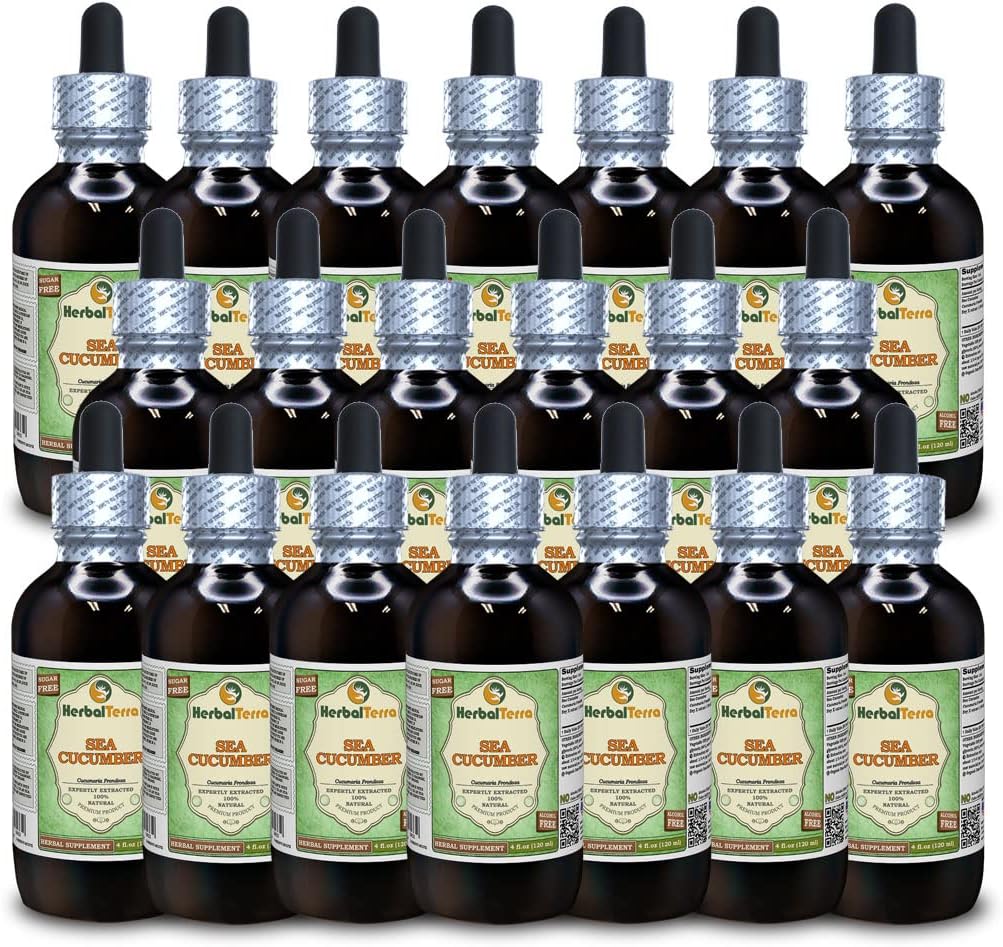 Sea Cucumber (Cucumaria Frondosa) Glycerite, Dried Sea Cucumber Alcohol-Free Liquid Extract 60ml - görsel 8