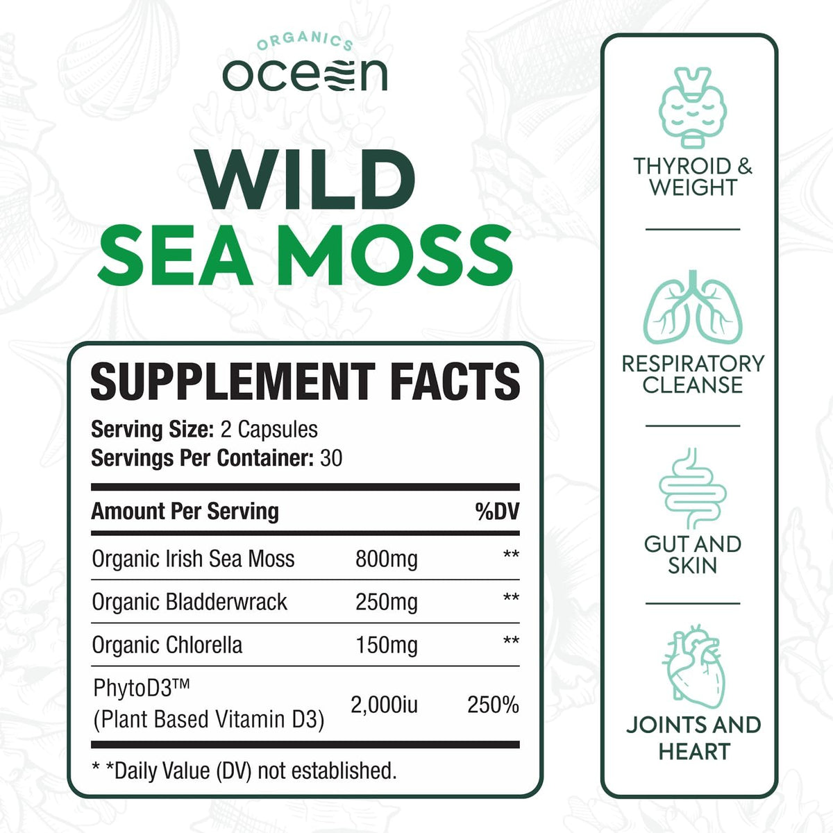 Organics Ocean Wild Sea Moss Capsules - 100% Organic Irish Sea Moss with Organic Chlorella, Bladderwrack and Vitamin D - 6 Bottles - görsel 2