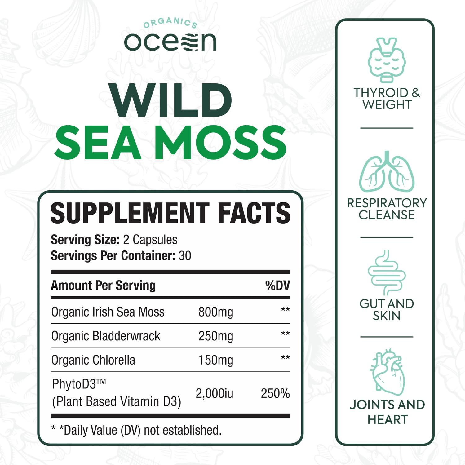 Organics Ocean Wild Sea Moss Capsules - 100% Organic Irish Sea Moss with Organic Chlorella, Bladderwrack and Vitamin D - 6 Bottles - görsel 2