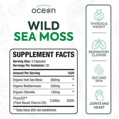 Organics Ocean Wild Sea Moss Capsules - 100% Organic Irish Sea Moss with Organic Chlorella, Bladderwrack and Vitamin D - 6 Bottles