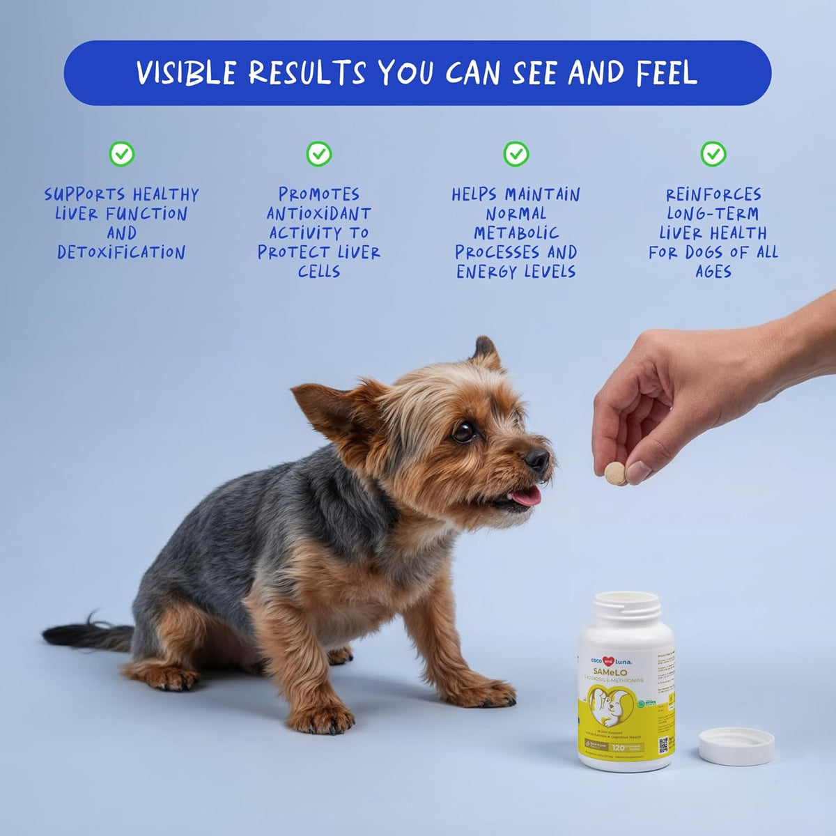 Same for Dogs 120 Tablets - Liver Supplement, Brain & Mood Support | S-Adenosyl-L-Methionine formula - görsel 2