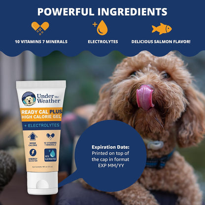 Under the Weather Ready Cal Plus Gel for Dogs, High-Calorie Supplement, 99g