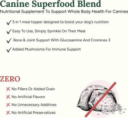 360 Pet Nutrition Canine Superfood Boost – All Life Stage Dog Meal Topper & Supplement, Supports Joint, Digestive & Immune Health, 30 Servings, Beef Flavour
