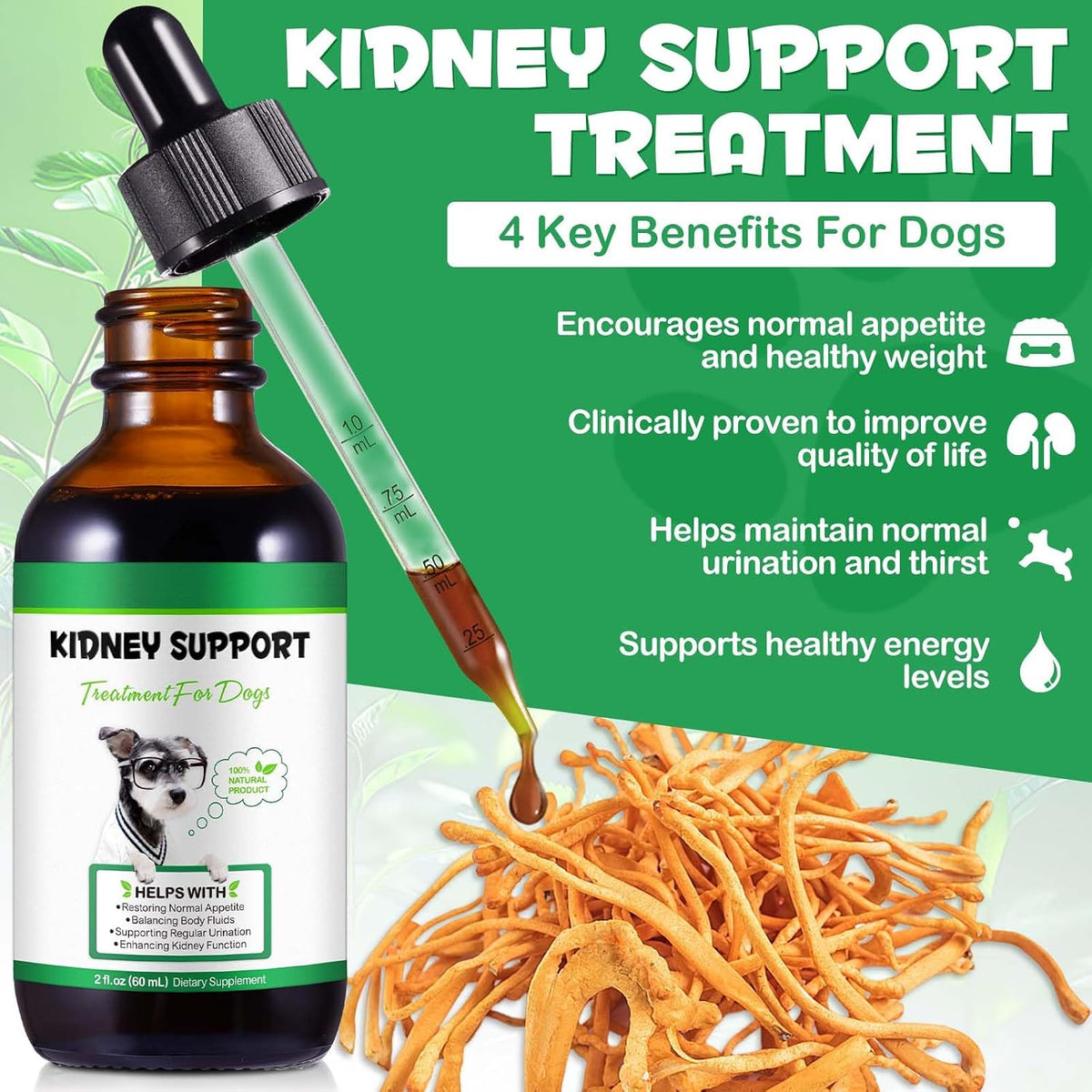 Kidney Support for Dogs - Herbal Supplement for Immune & Urinary Health (60ml) - görsel 3