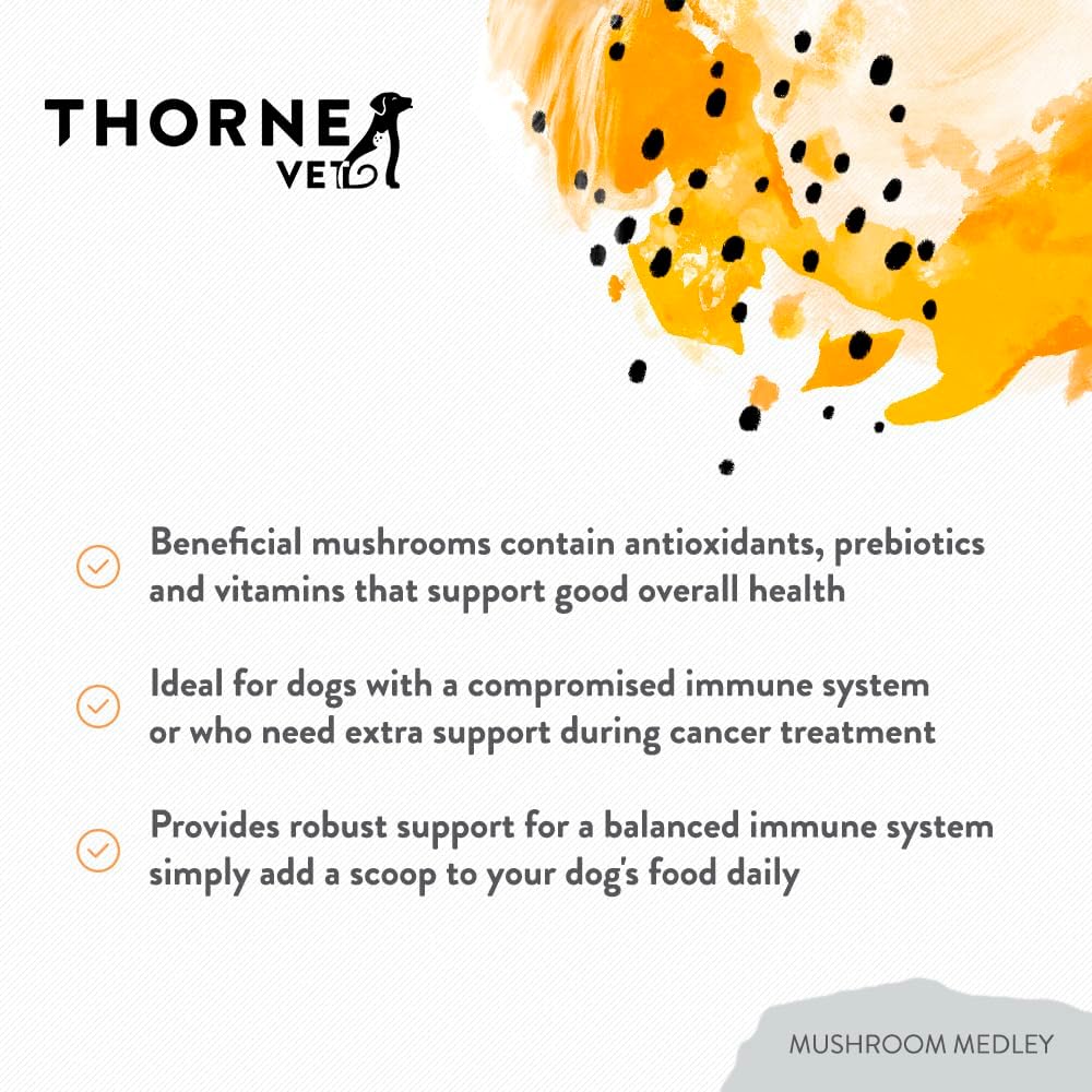 Mushroom Medley for Dogs - Immune Support Plus Antioxidants - with Reishi, Turkey Tail, Cordyceps, Maitake, and Chaga Mushrooms - Support for Dogs with Compromised Immunity - 120 Scoops - görsel 4