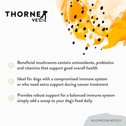 Mushroom Medley for Dogs - Immune Support Plus Antioxidants - with Reishi, Turkey Tail, Cordyceps, Maitake, and Chaga Mushrooms - Support for Dogs with Compromised Immunity - 120 Scoops