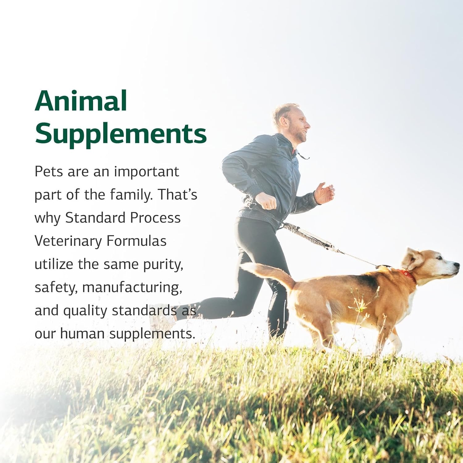 Standard Process Mushroom Complex for Dogs & Cats – Immune Support with Lion's Mane and Bovine Colostrum - görsel 6