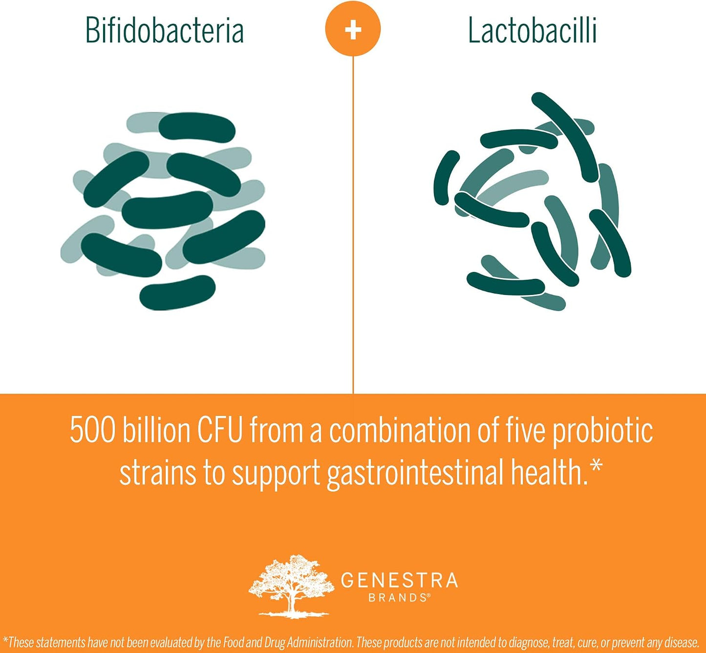 Genestra Brands HMF Intensive 500 - High Strength Probiotic Food Supplement, 30 Sachets - görsel 6