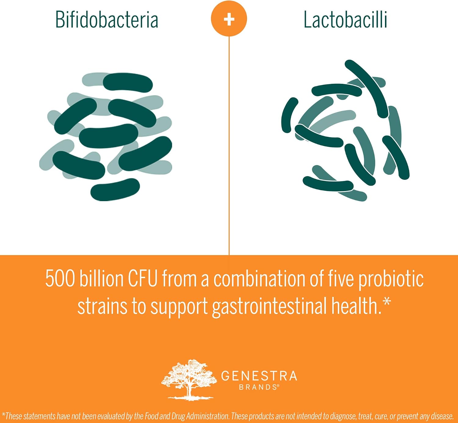 Genestra Brands HMF Intensive 500 - High Strength Probiotic Food Supplement, 30 Sachets - görsel 6