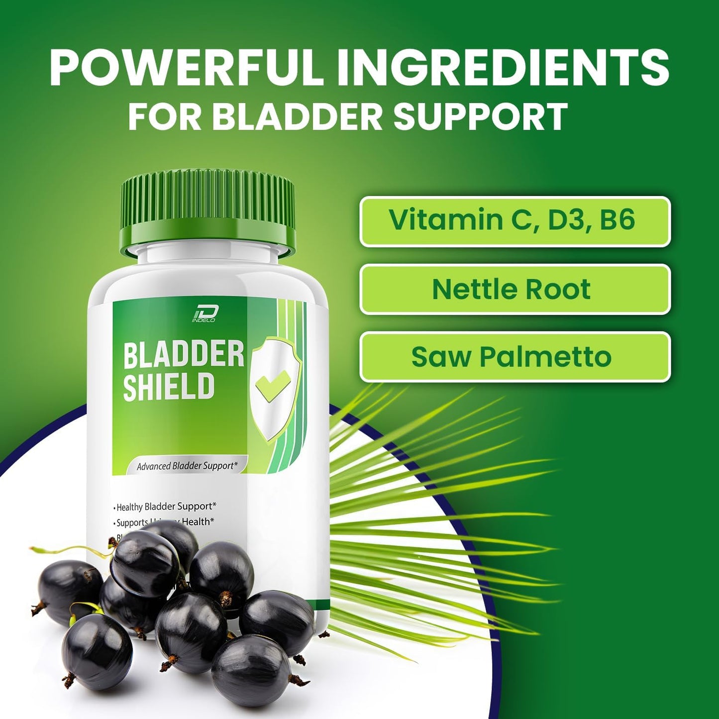 Bladder Shield Supplement for Men – BladderShield Pills Advanced Formula (5 Pack, 300 Capsules) - görsel 3