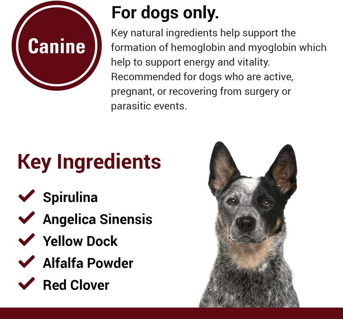 Vet Classics Blood & Energy Dog Supplement – Herbal Chewable Tablets (120 Tablets) - görsel 5
