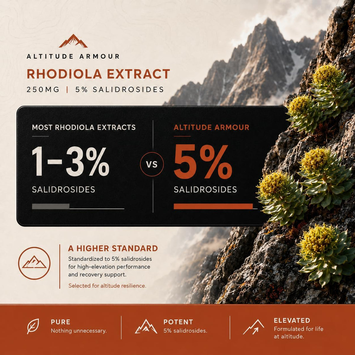 Altitude Sickness Prevention – Altitude Armour Premium Altitude Acclimatisation Support – Highly Bio-available High Altitude Formula for Travel, Hiking, Skiing, & Mountain Trips - görsel 8