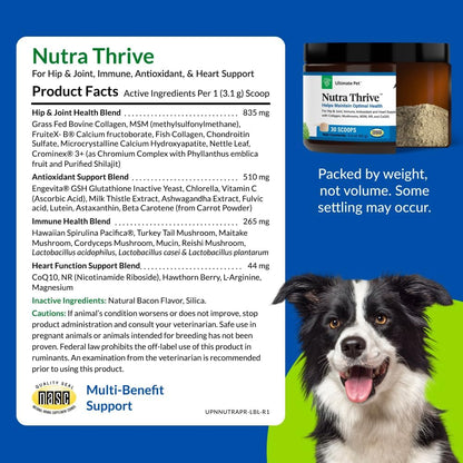 Ultimate Pet Nutrition Nutra Thrive Canine, 40-in-1 Nutritional Powder Supplement for Dogs – Bacon Flavour, 30 Scoops