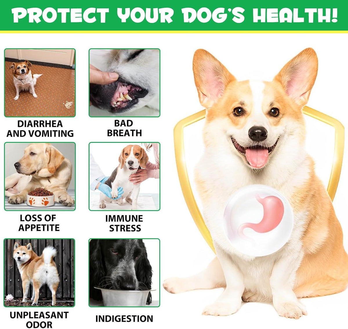 Probiotics for Dogs, 180 Chews Dog Probiotics and Digestive Enzymes, Promotes Digestive Health, Digestive Regularity, Immune Health, Tan - görsel 7