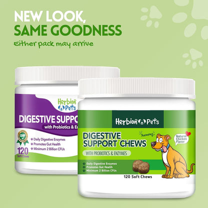 Herbion Pets Digestive Support Chews – Probiotics & Enzymes for Dogs, 120 Soft Chews