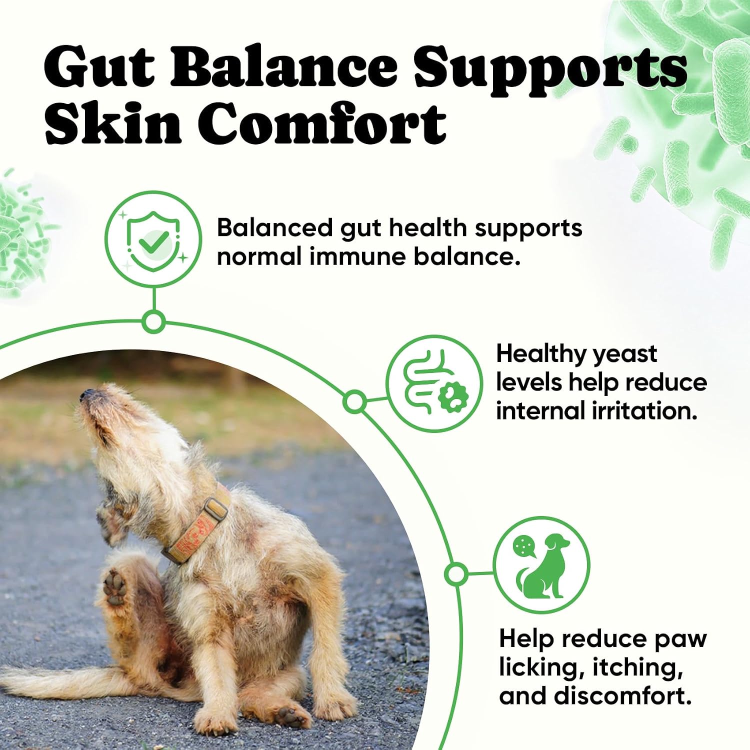 BuddyCheer Probiotics for Dogs - Supports Digestion, Skin and Breath - 180 Soft Chews - görsel 4