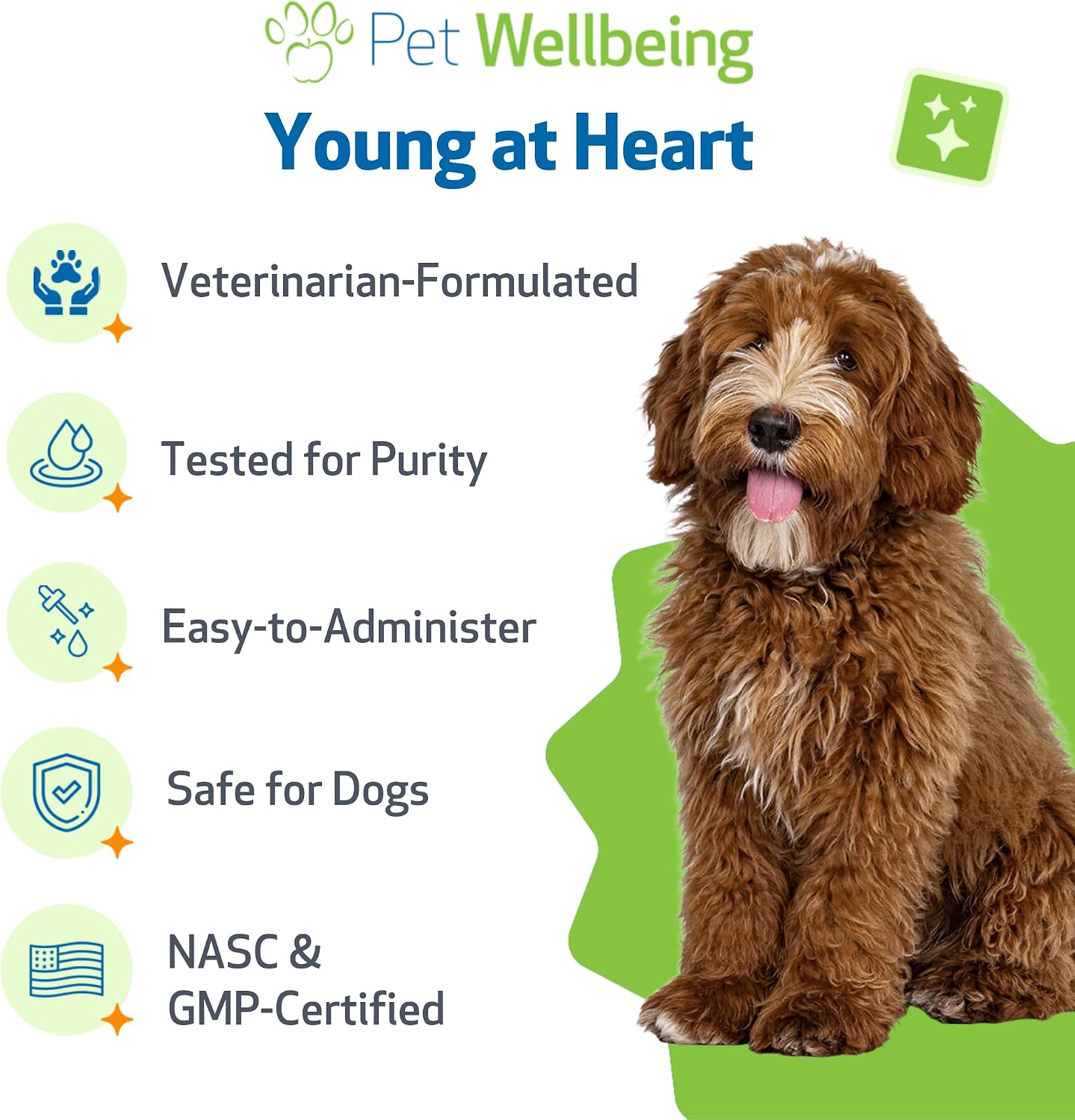 Pet Wellbeing Young at Heart for Dogs - Senior Heart Health Support, Cardiovascular Wellness with Hawthorn & Motherwort - NASC Certified & Vet-Formulated - 2 oz Liquid Formula - görsel 5