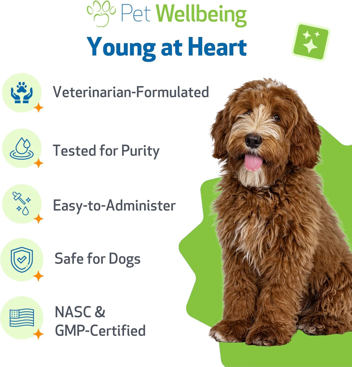 Pet Wellbeing Young at Heart for Dogs – Senior Heart Health Support, 120 ml - görsel 5