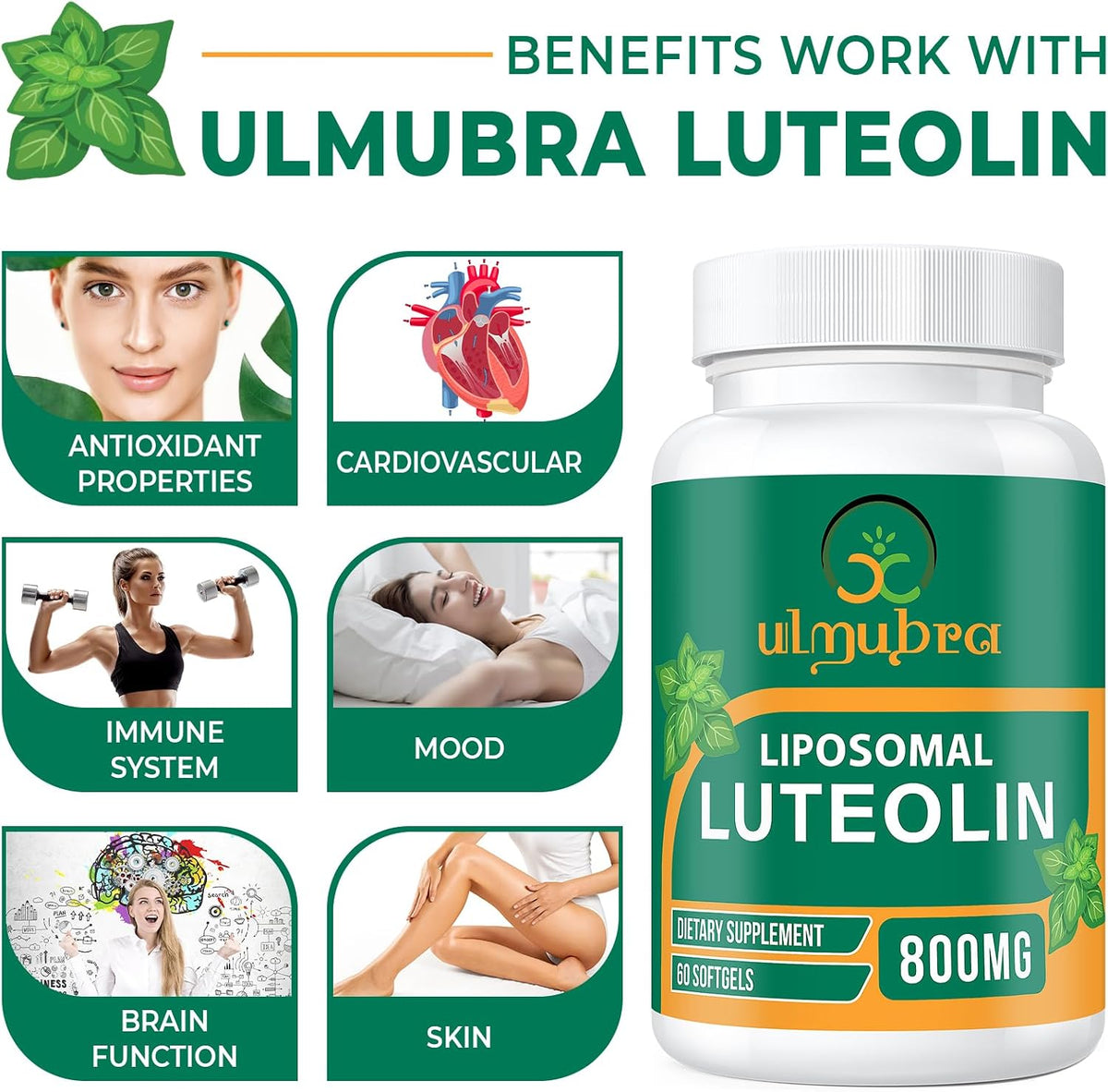 Ulmubra 800 MG Liposomal Luteolin Food Supplement - Enhanced Absorption, Premium Antioxidant for Brain & Overall Wellbeing, 60 Softgels - 30-Day Supply - görsel 5