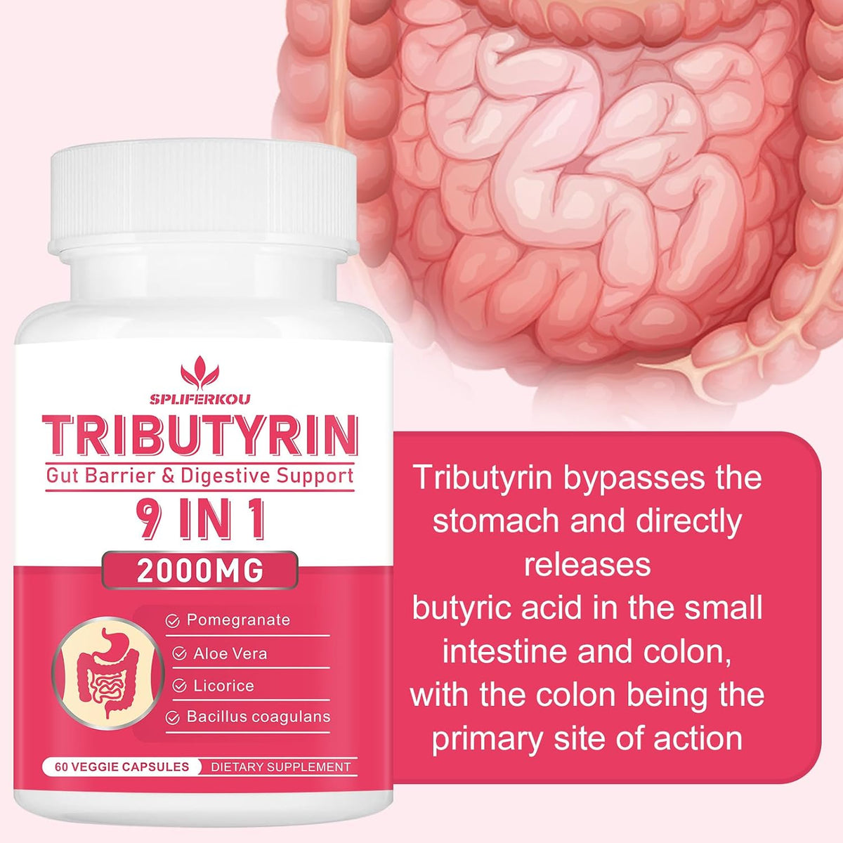 Tributyrin Gut Health Supplement – Butyrate Complex with Aloe & Probiotics, 60 Vegan Capsules - görsel 3