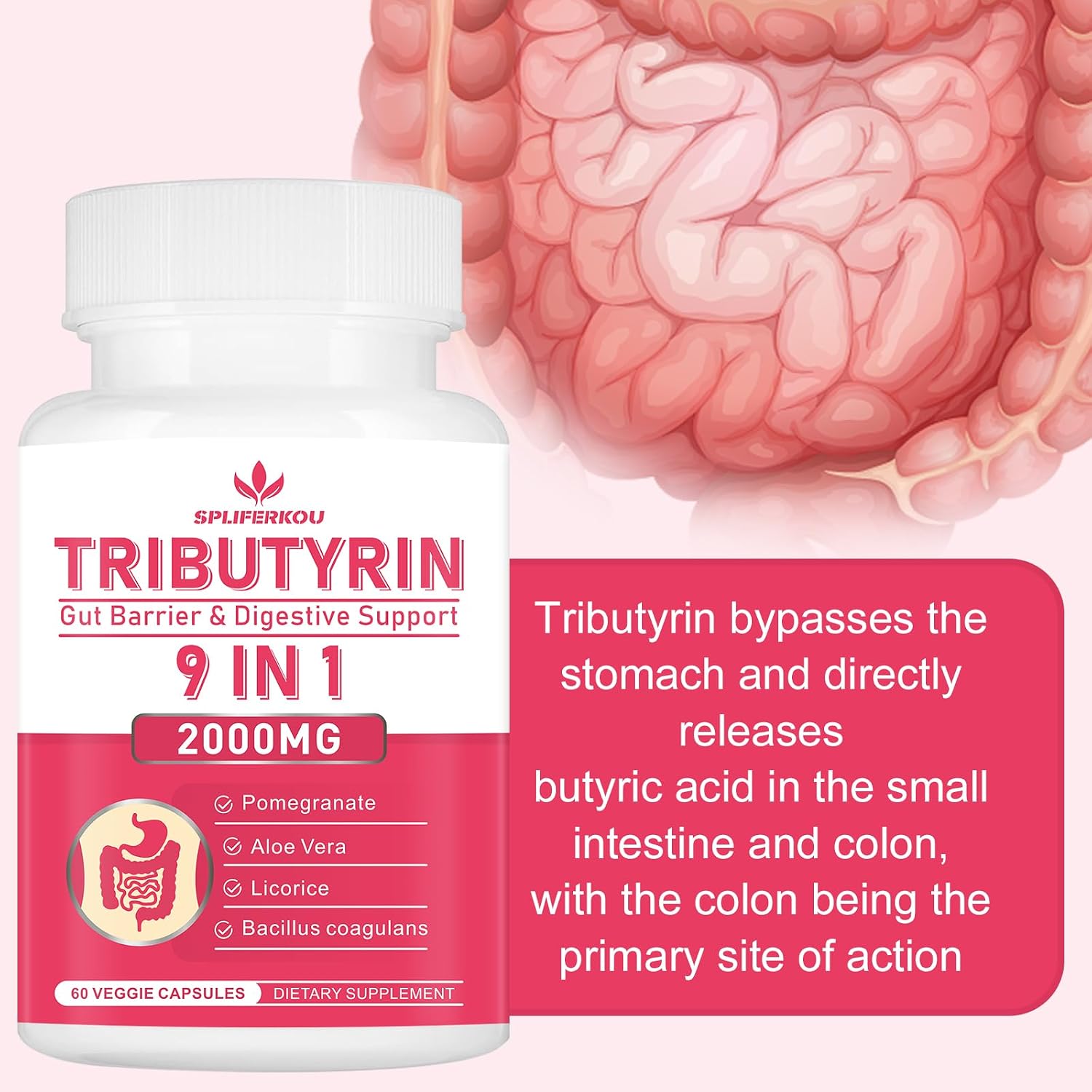 Tributyrin Gut Health Supplement – Butyrate Complex with Aloe & Probiotics, 60 Vegan Capsules - görsel 3