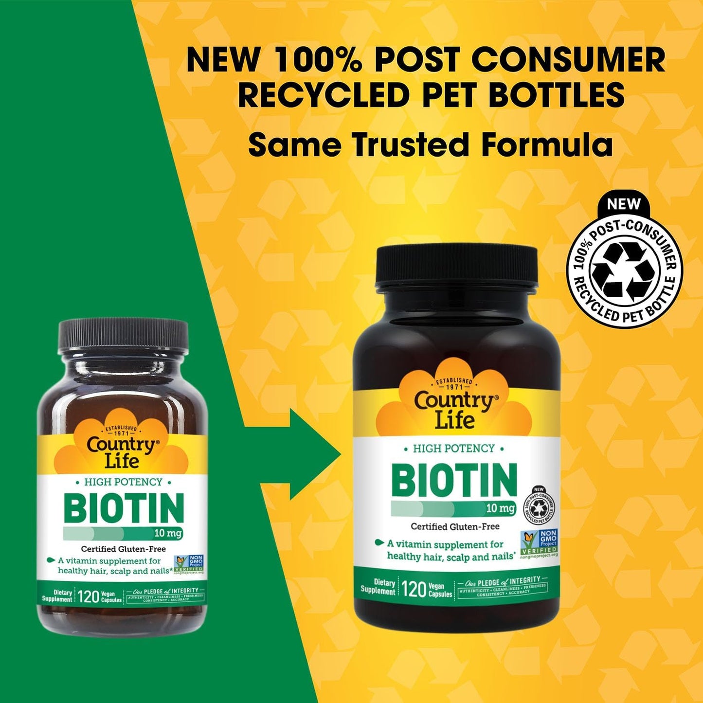 Country Life High-Potency Biotin 10 mg (10,000 mcg) - Vegan & Gluten-Free Biotin Supplement for Hair, Skin & Nails, Energy Metabolism - görsel 2