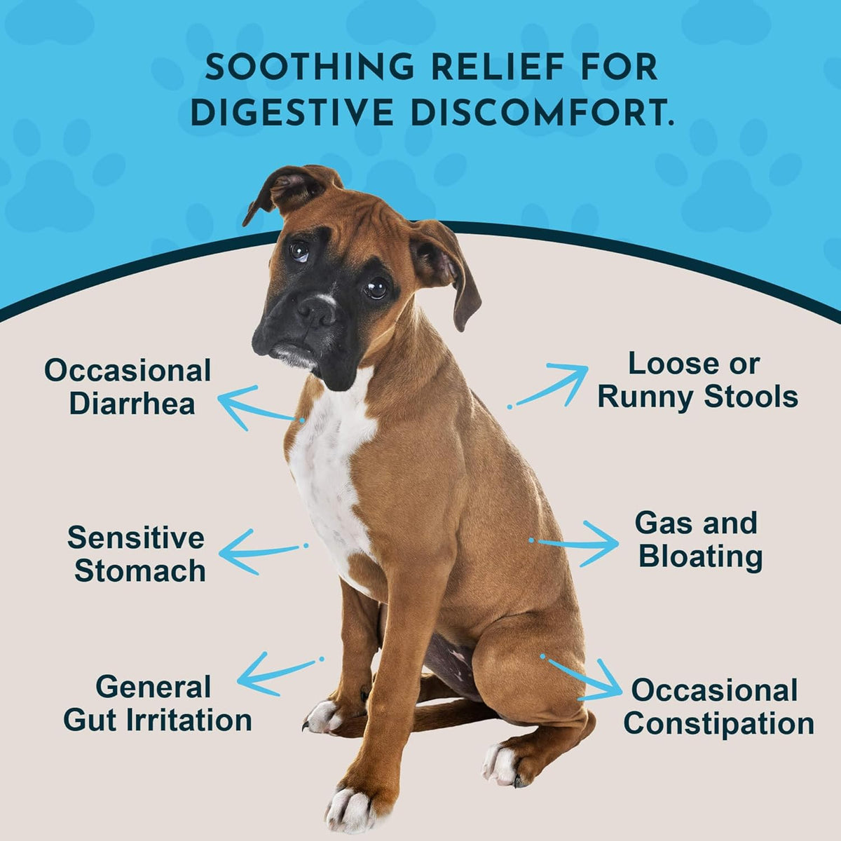 Animal Essentials Organic Slippery Elm Bark Liquid Extract for Dogs and Cats - Digestive and Throat Support - 60 ml - görsel 2