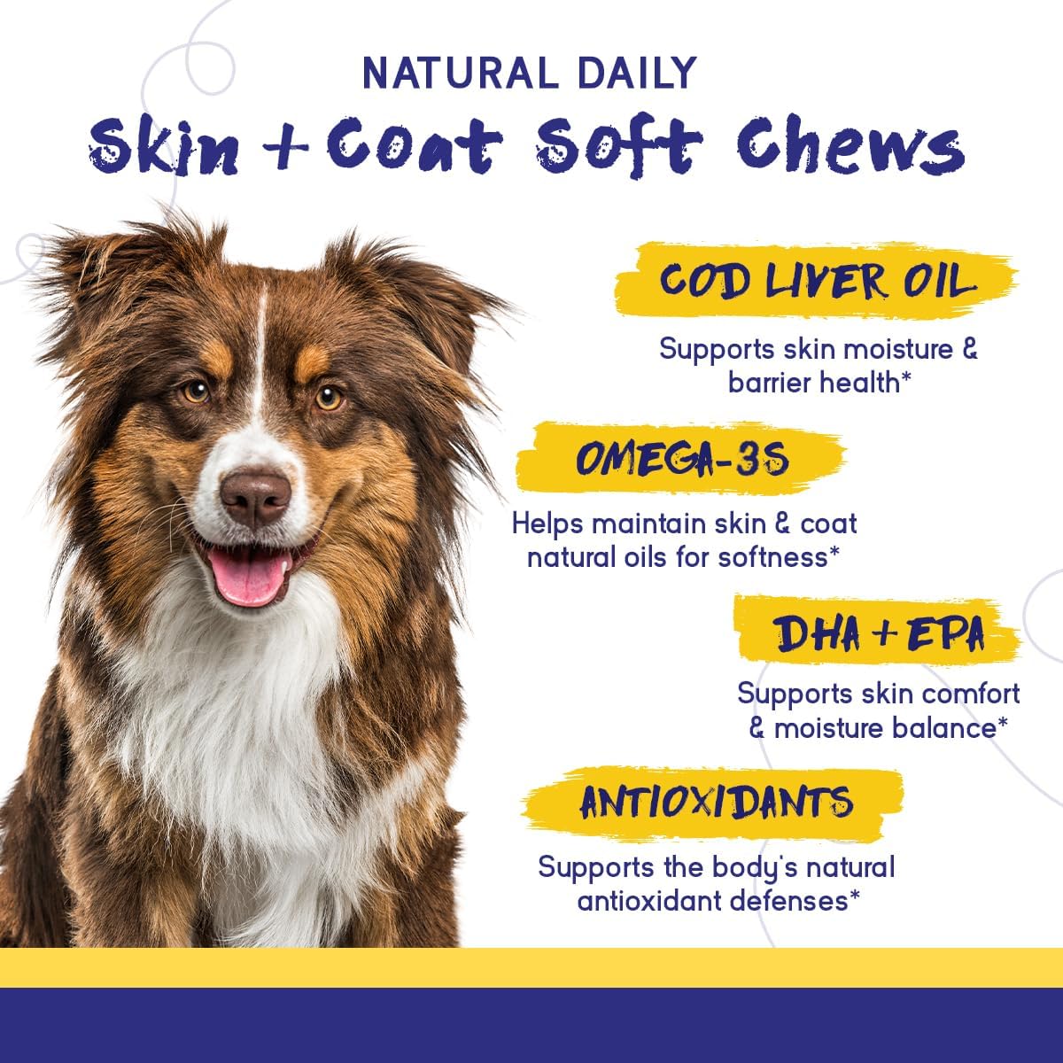 PupGrade Skin & Coat Supplement for Dogs, Duck Flavour – 60 Soft Chews - görsel 5