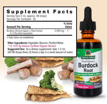 Nature's Answer Burdock Root Herbal Supplement - Super Concentrated, Low Alcohol, Gluten-Free - 60 ml