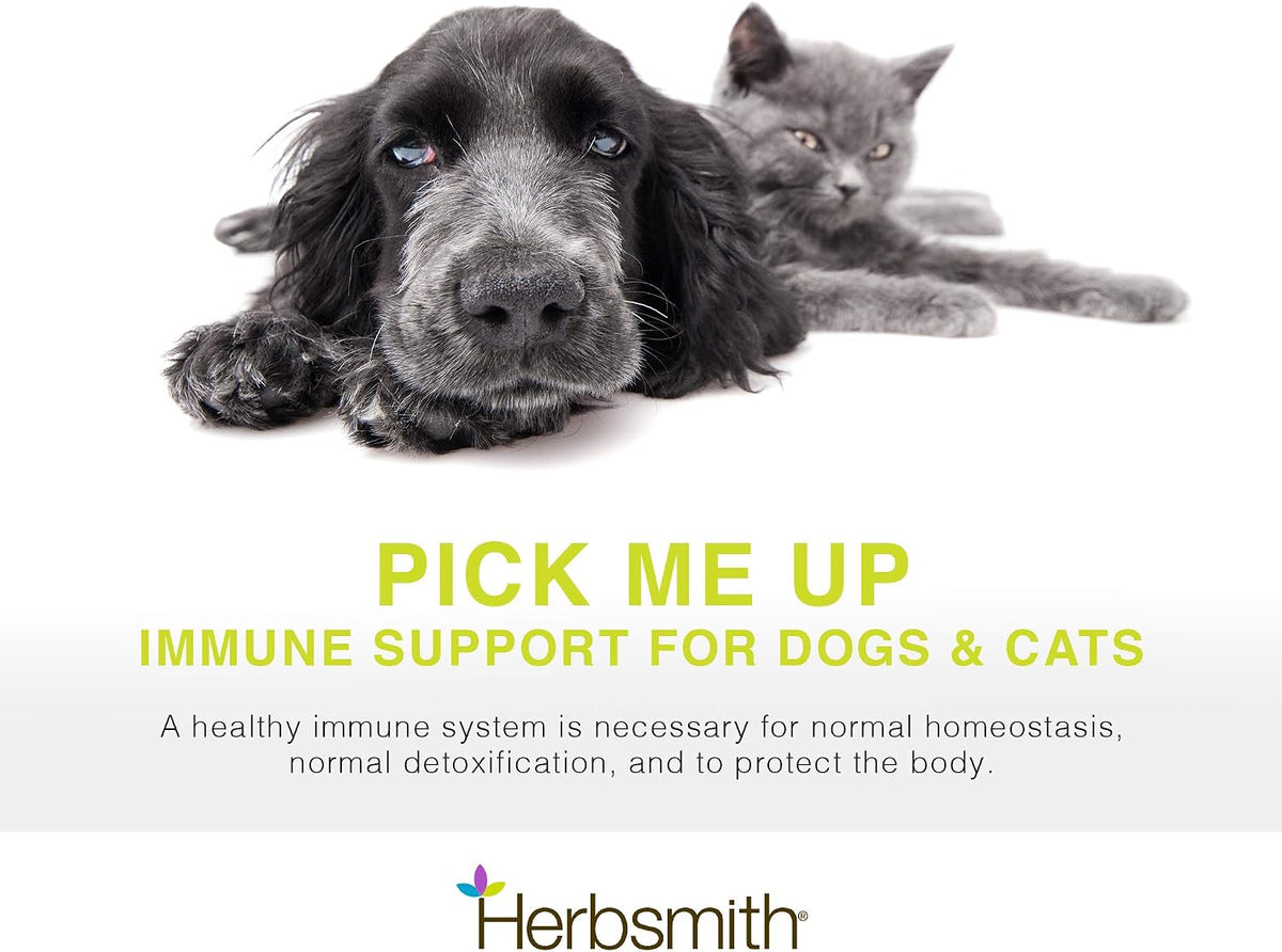 Herbsmith Immune Support for Dogs - 75g Powder - görsel 2