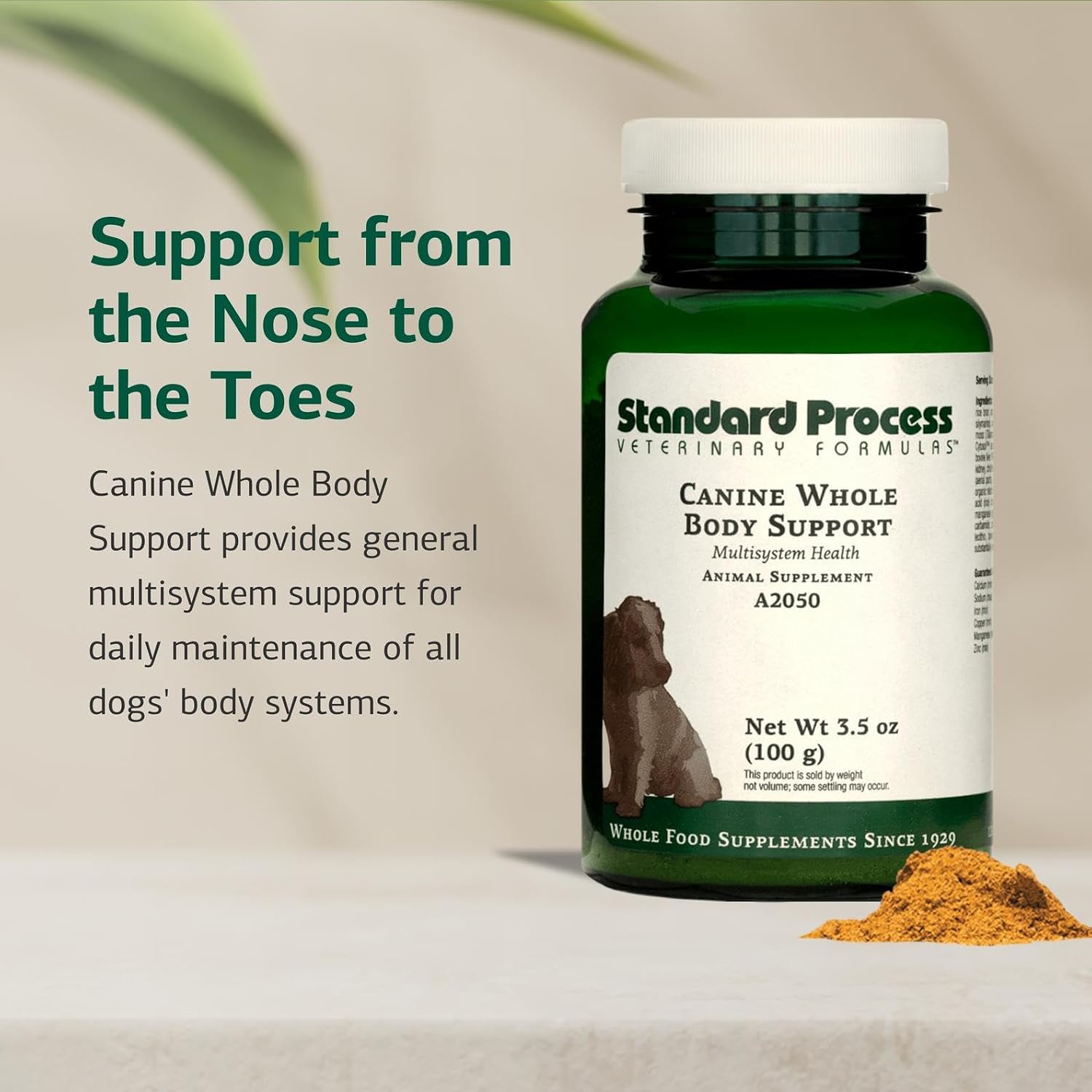 Standard Process Whole Body Canine Multivitamin Powder - görsel 3