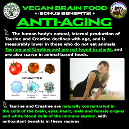 Vegan's Best Friend - Plant-Based Multivitamin Powder with Creatine & B12 (40 Servings)