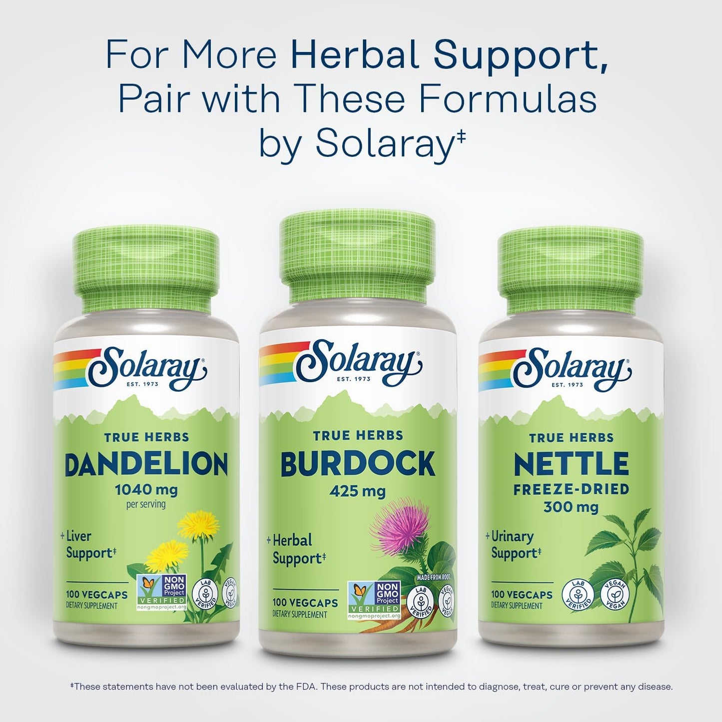 SOLARAY Burdock Root 425 mg - Non-GMO - 100 VegCaps - görsel 6