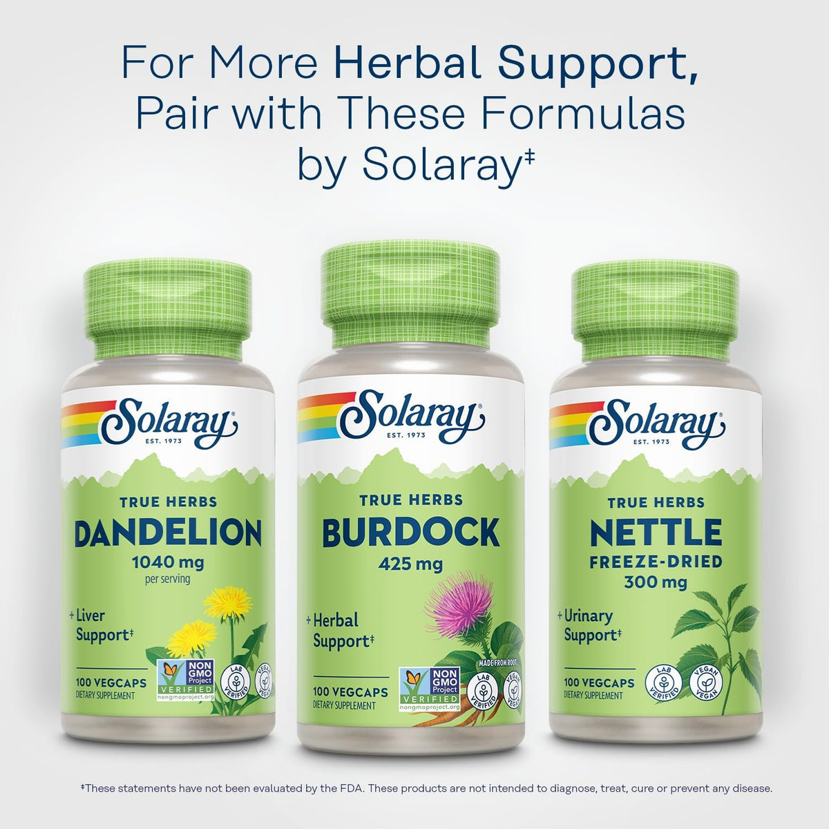 SOLARAY Burdock Root 425 mg - Non-GMO - 100 VegCaps - görsel 6