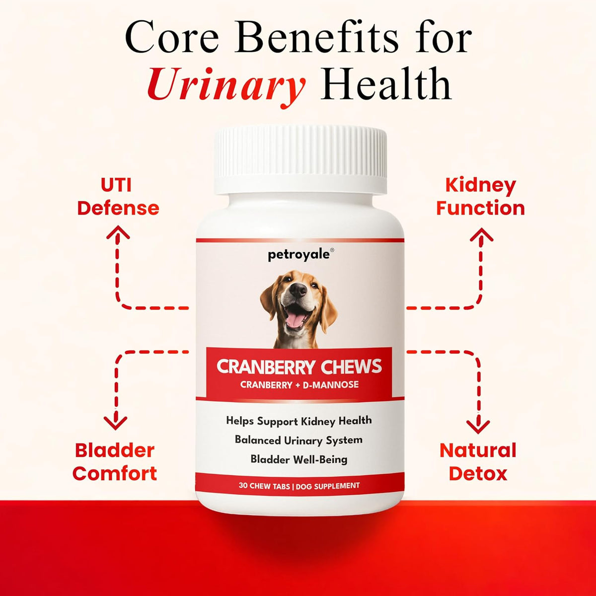 Petroyale Cranberry Chews for Dogs – Urinary Support & Bladder Health (30 Soft Chews) - görsel 3