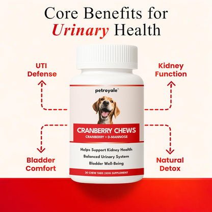 Petroyale Cranberry Chews for Dogs – Urinary Support & Bladder Health (30 Soft Chews)