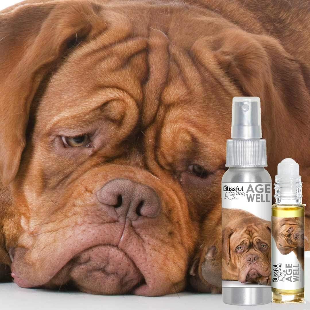 The Blissful Dog Age Well Aromatherapy Spray for Dogs – Dogue de Bordeaux - görsel 2