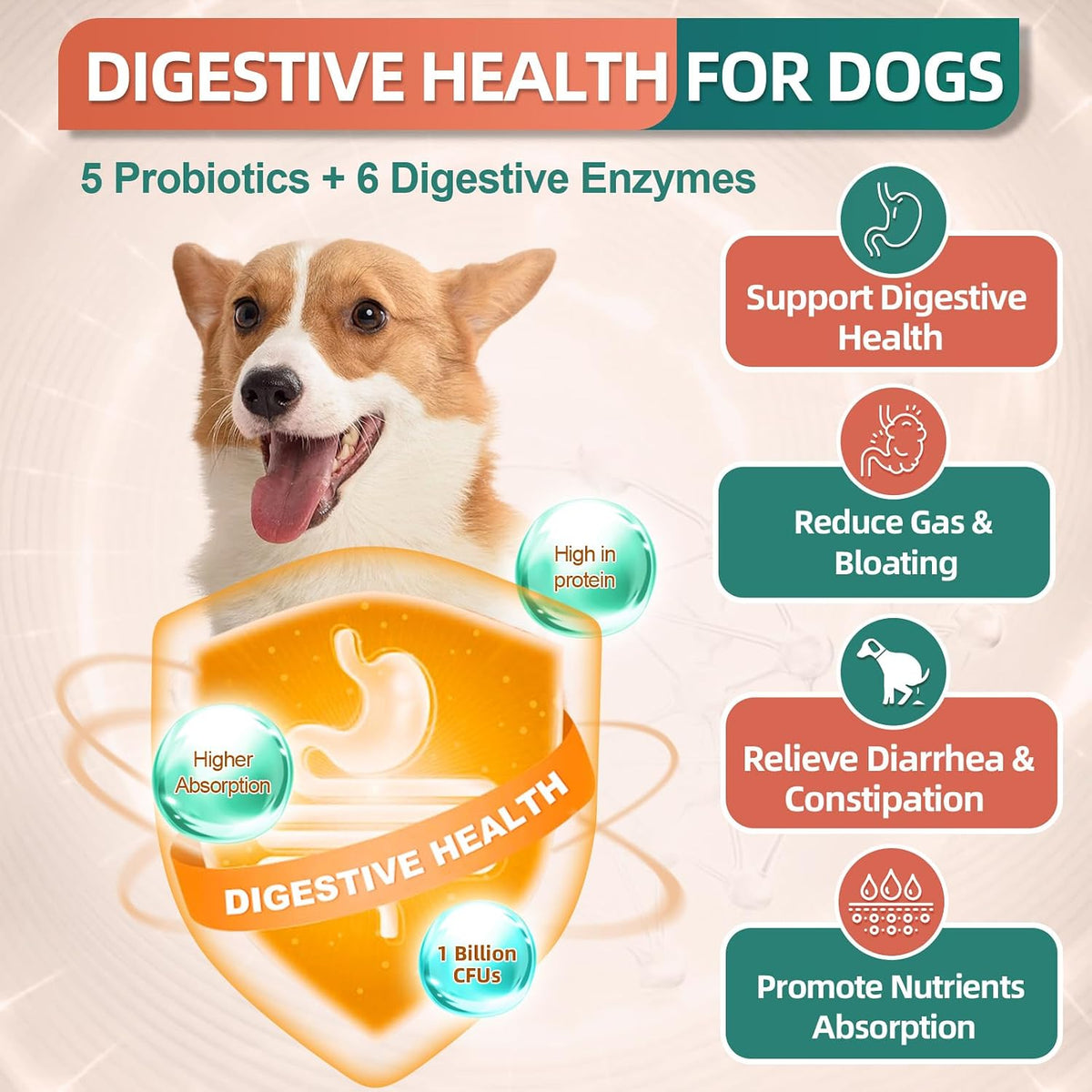 Dog Multivitamin, Dog Vitamins and Supplements, Multivitamin for Dogs with Glucosamine, Probiotics & Omega-3 for Joint, Digestive, Skin, Coat and Immune Health, Chicken Flavour - 180 Bites - görsel 6